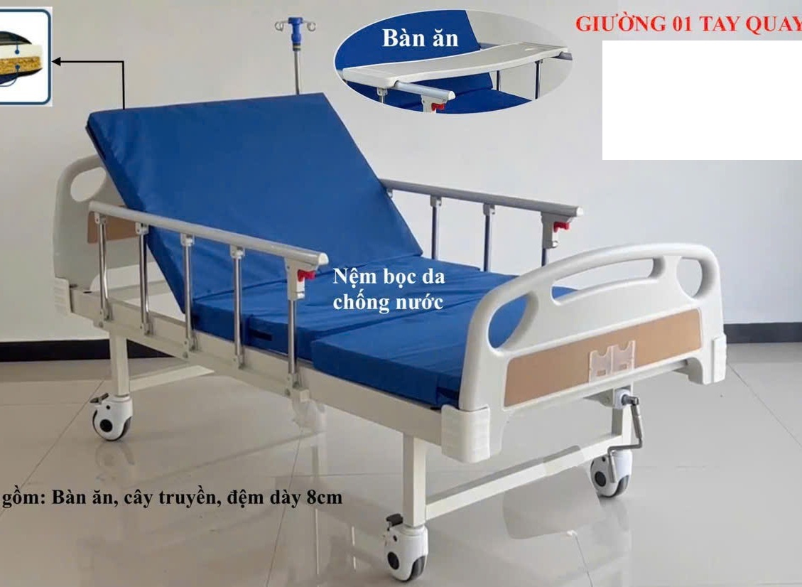 Giường Bệnh 1 tay quay GBM Nhập khẩu